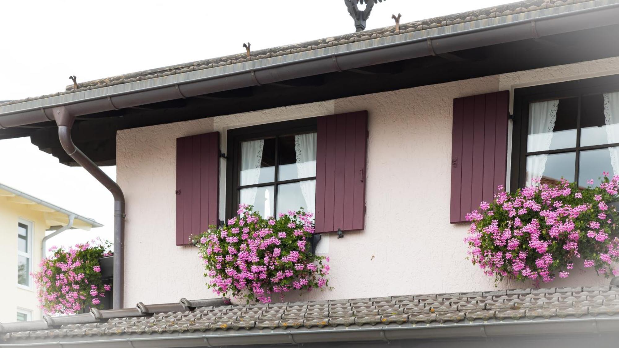 Gaestehaus Sattlerhof Bernau am Chiemsee Exteriör bild